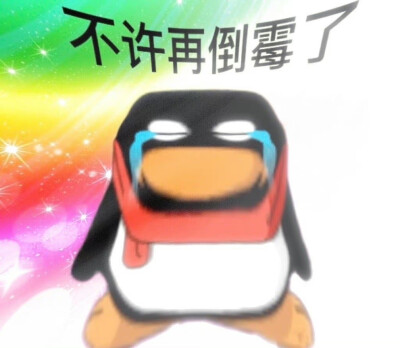 猫狗表情包