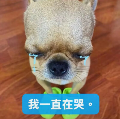 双人头像