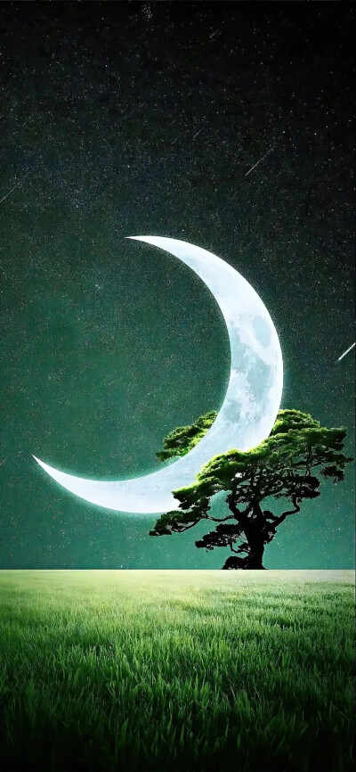 树