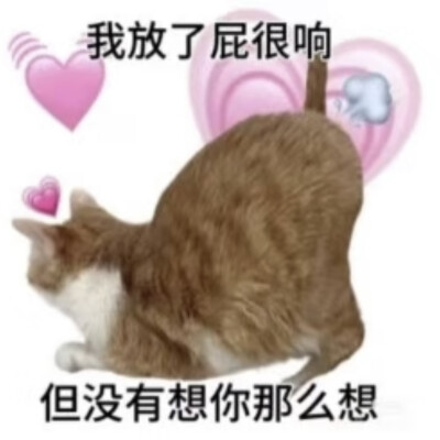 沙雕猫咪表情包