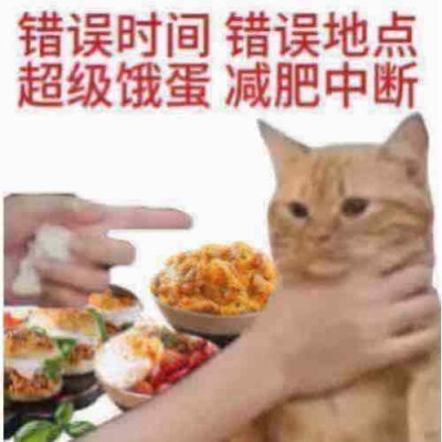 猫狗表情包