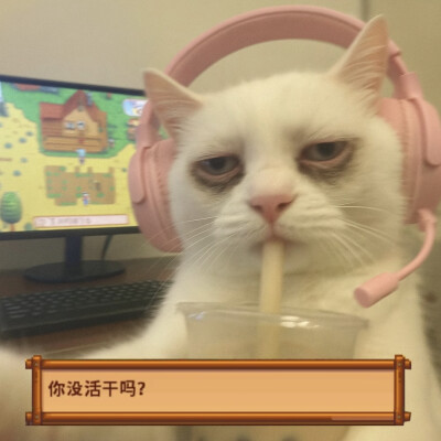 头像