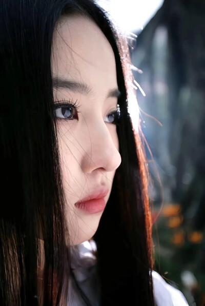 刘亦菲