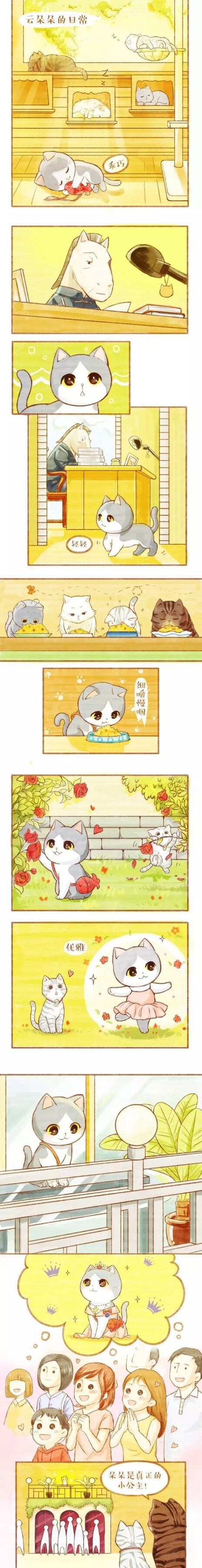 赫本喵喵