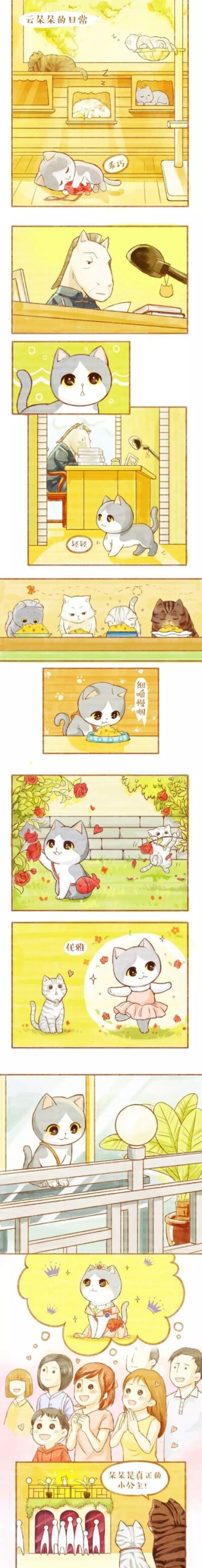 赫本喵喵