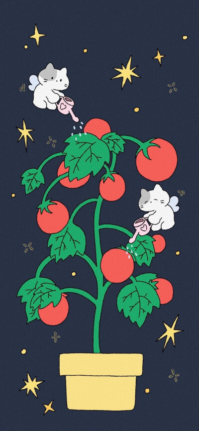 高清壁纸