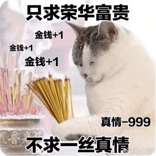 猫狗表情包