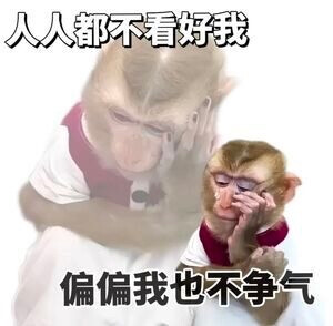 猫狗表情包