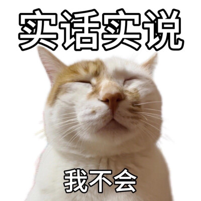 猫狗表情包
