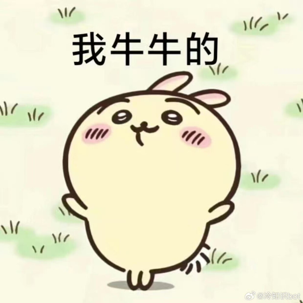 猫狗表情包