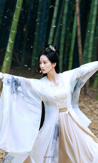 刘诗诗东方淮竹