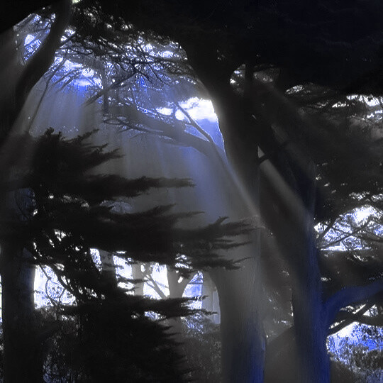 埜鸢宝宝给你灼儿~