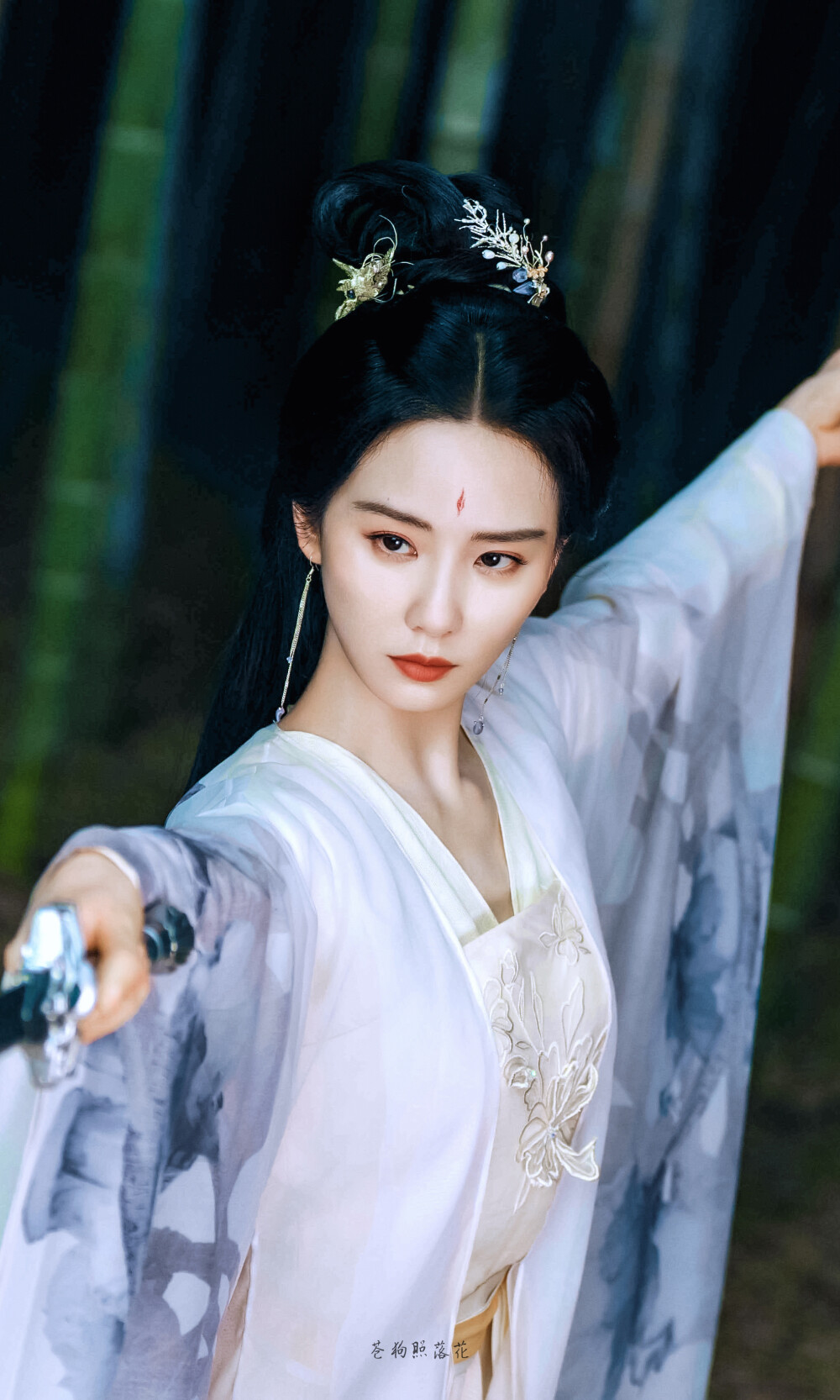 刘诗诗东方淮竹