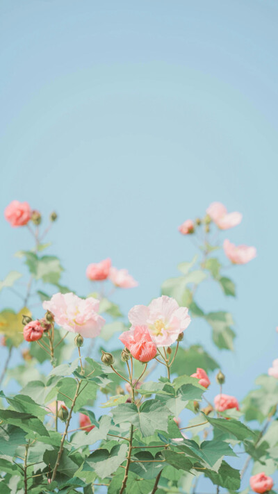 。