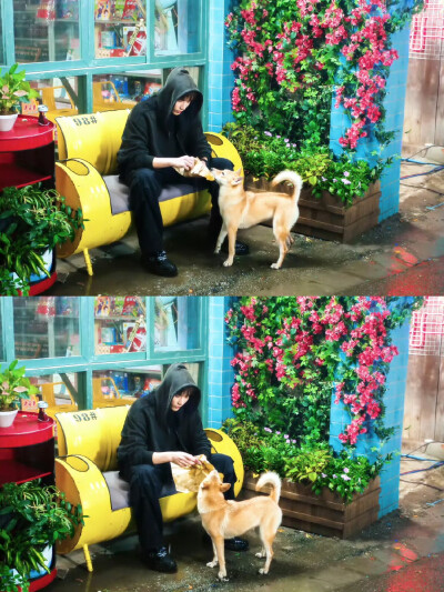 / 陷入我们的热恋
王安宇｜陈路周 ​​​