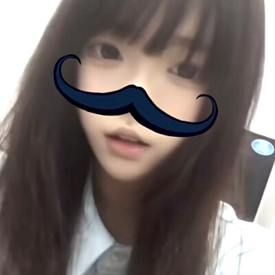 猫骗了你