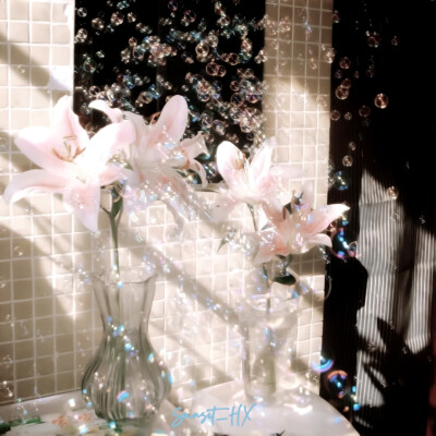 时间按了暂停键—Indifferent plot◁▷