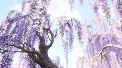 空镜