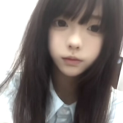 猫骗了你