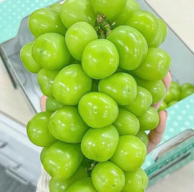 夏日背景图