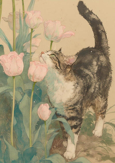 blingbling梦幻猫猫图集