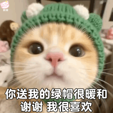 可爱小猫表情包动图