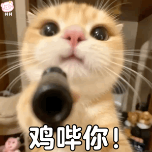 可爱小猫表情包动图