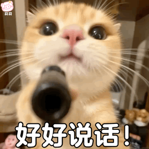 可爱小猫表情包动图