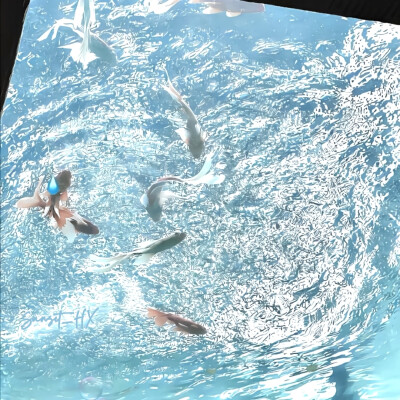 时间按了暂停键—Indifferent plot◁▷