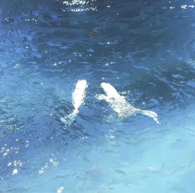 微信背景图