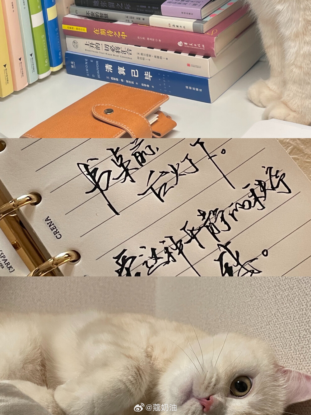 。