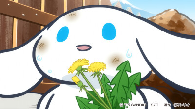 玉桂狗