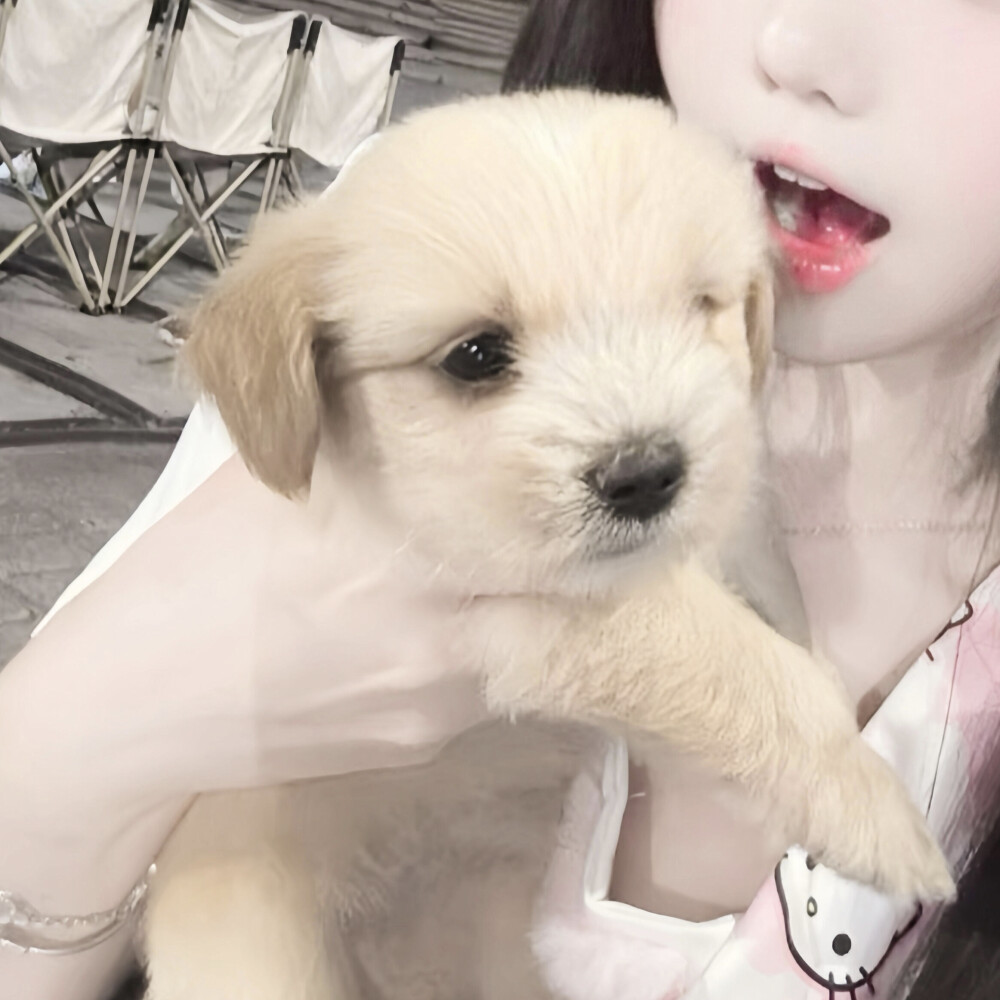 对象不是人情头