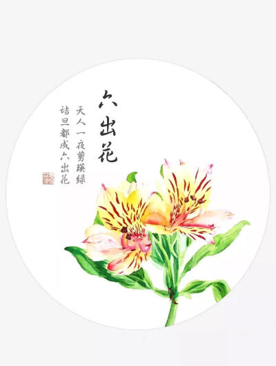 六出花