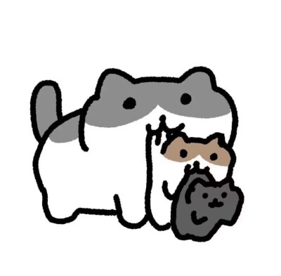 可爱小猫