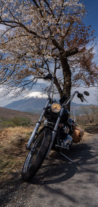 手机壁纸，汽车壁纸