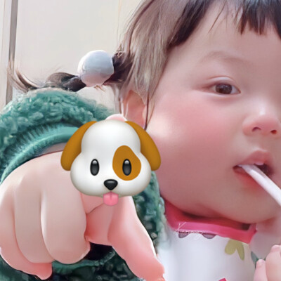 vb:淞包