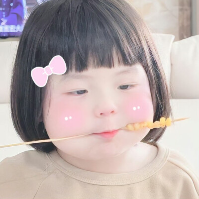 vb:淞包