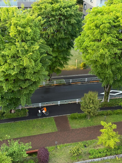 只有日本