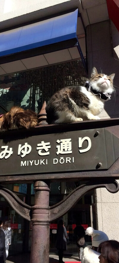 全屏壁纸