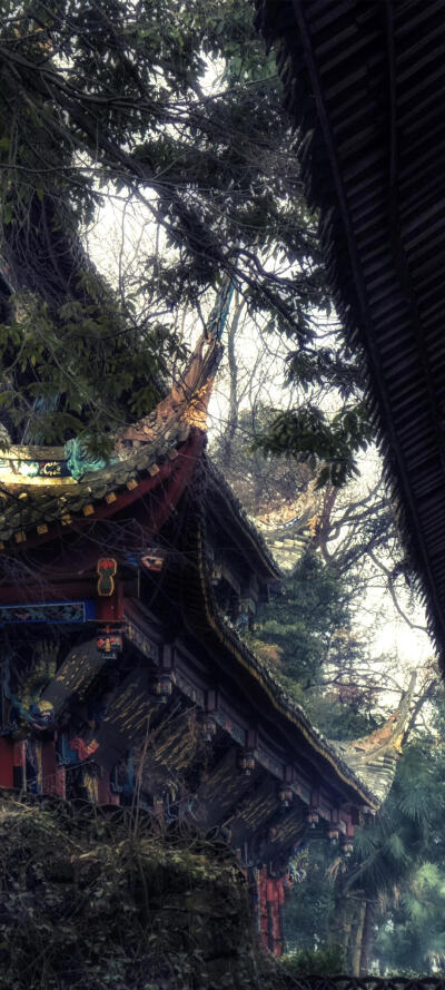 壁纸