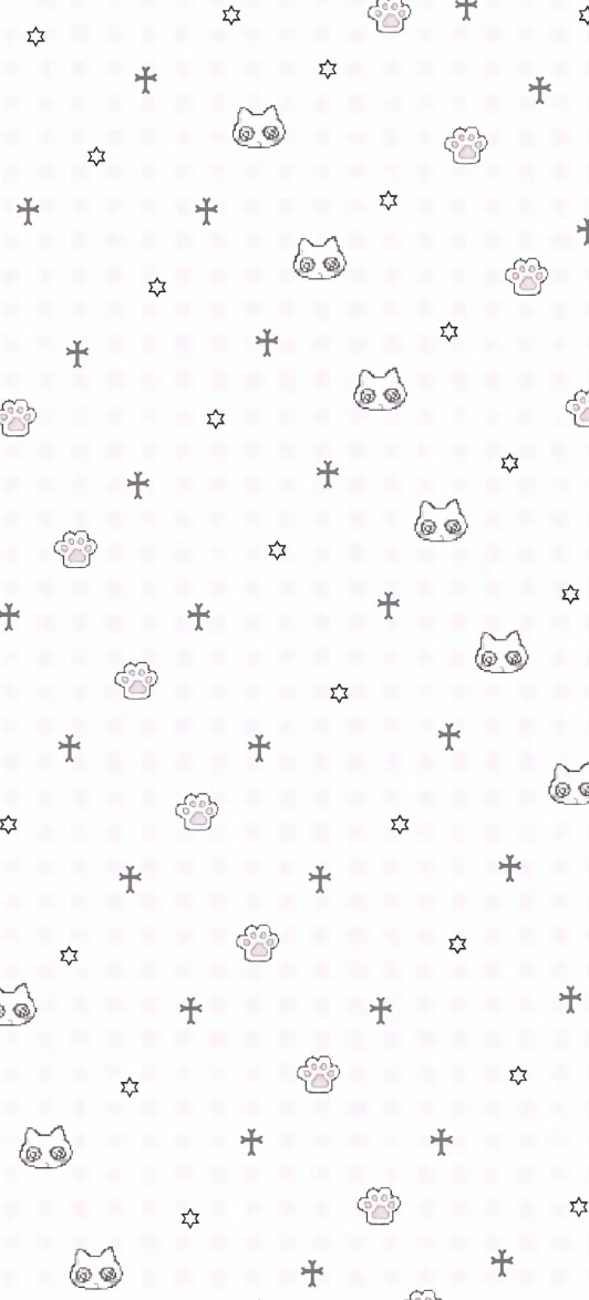 小猫｜壁纸