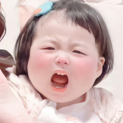 vb:淞包