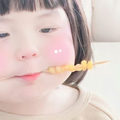 vb:淞包