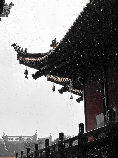壁纸