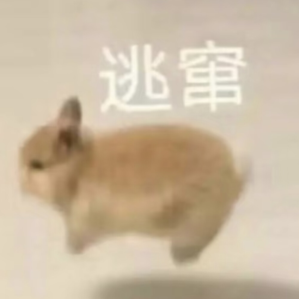 表情包