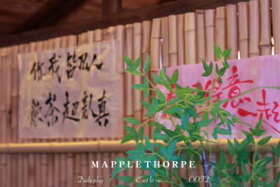 听雨煮茶