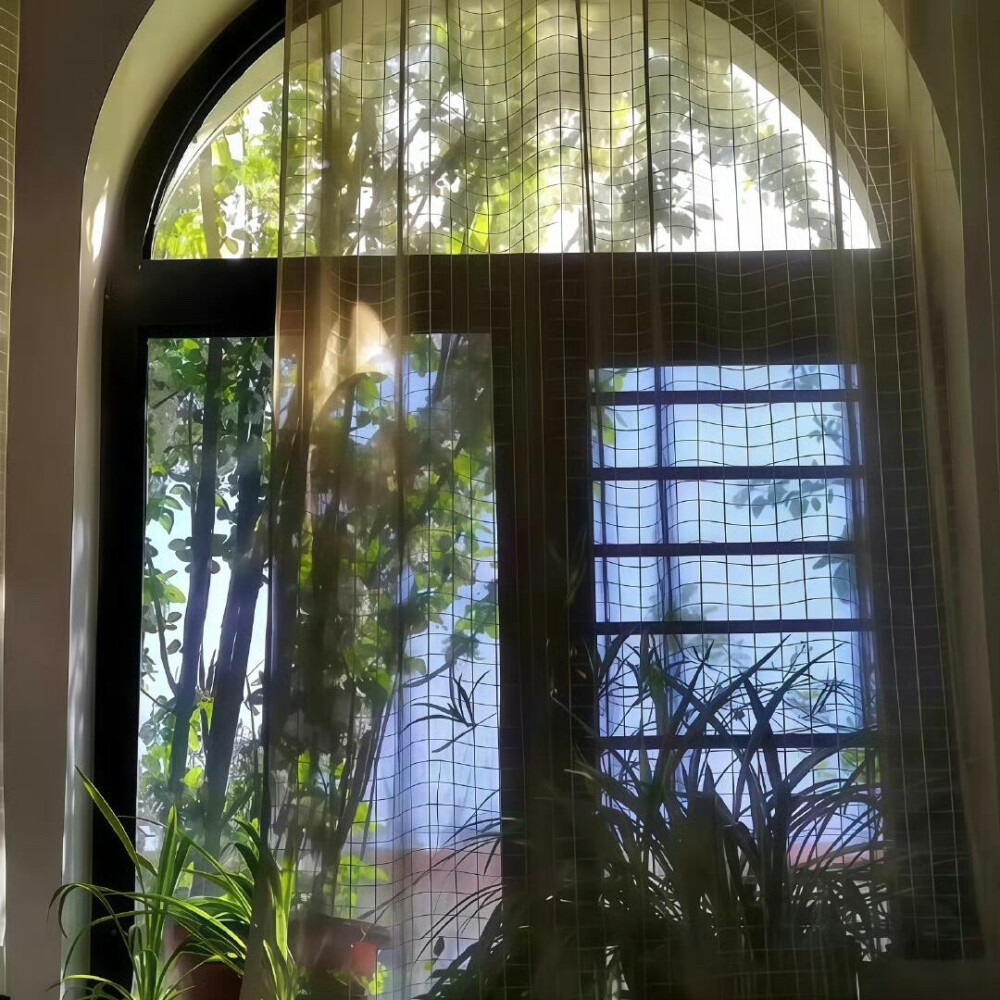 朋友圈背景
