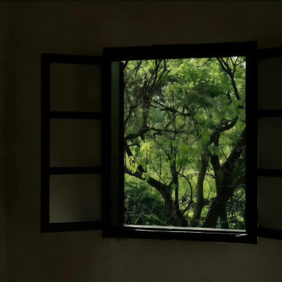 朋友圈背景