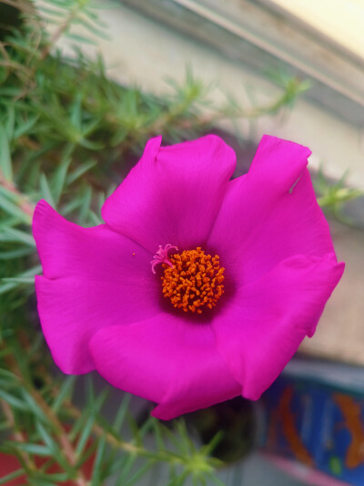 花